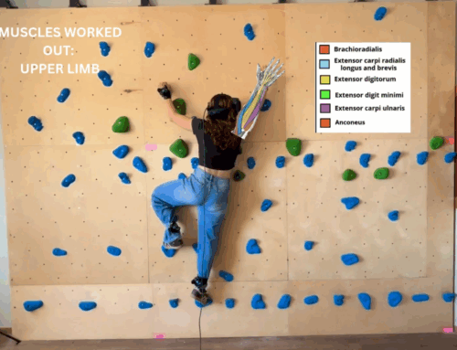 Simulation of a Sports Activity in a Virtual Reality Environment