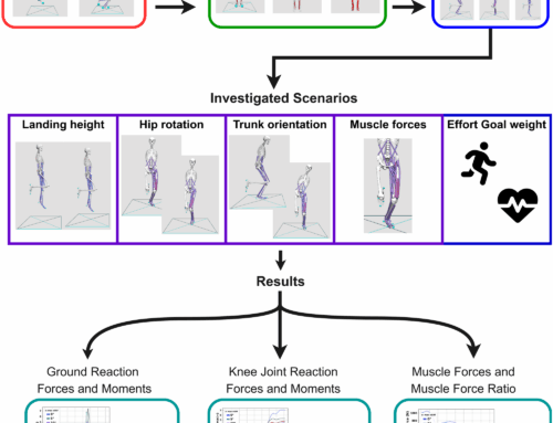 Predictive simulation of single-leg landing scenarios for ACL injury risk factors evaluation —   PLoS ONE 18, March 2023